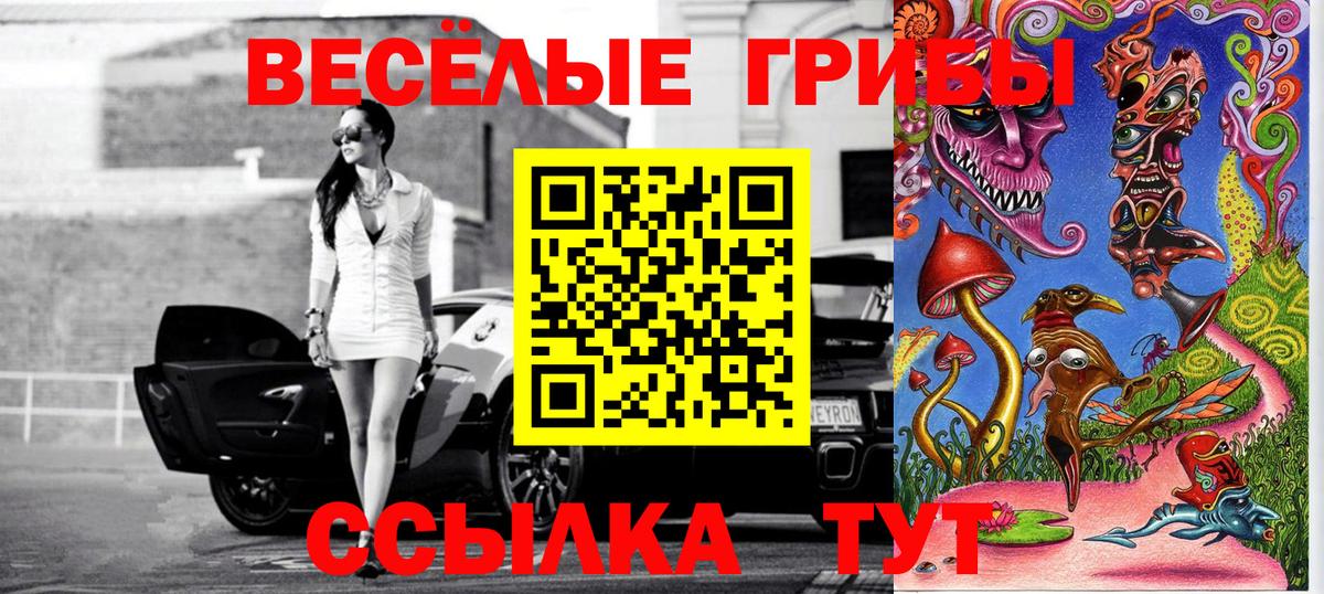 купить  цена  Вход с VPN  Иваново  Псилоцибиновые грибы мицелий 